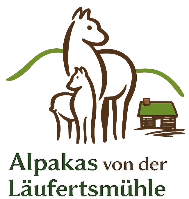 Alpakas von der Läufertsmühle