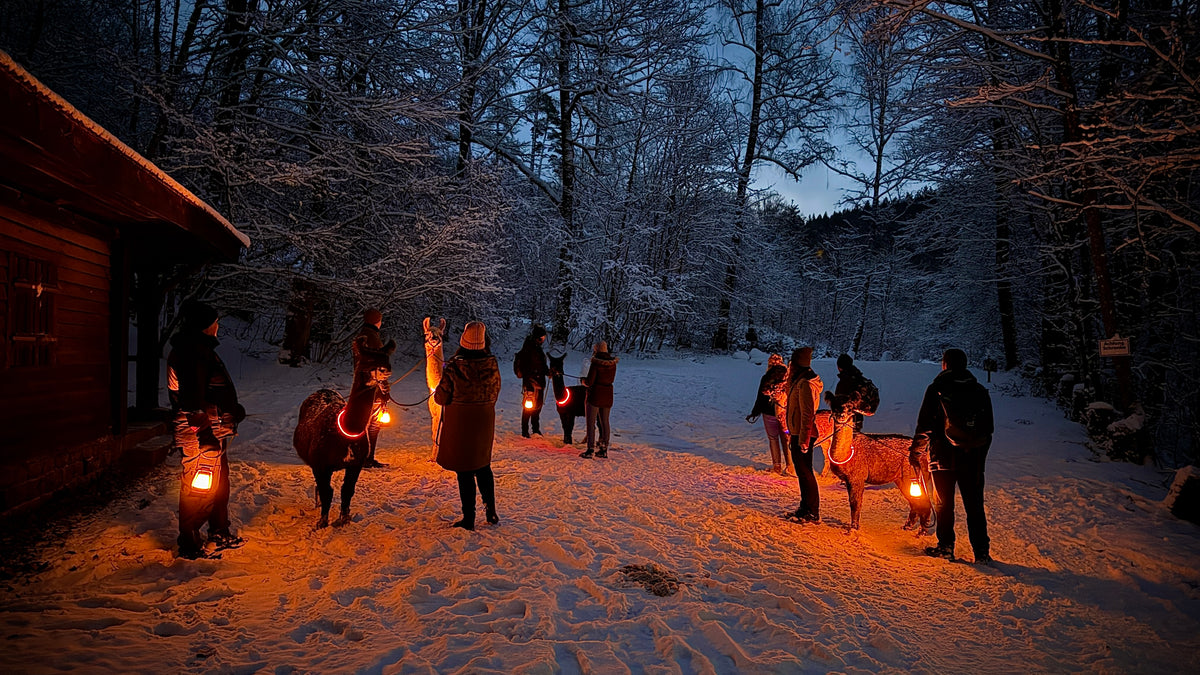 Glühwein und Laternenwanderung
